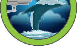 Featured image of post HTB CCTV Writeup